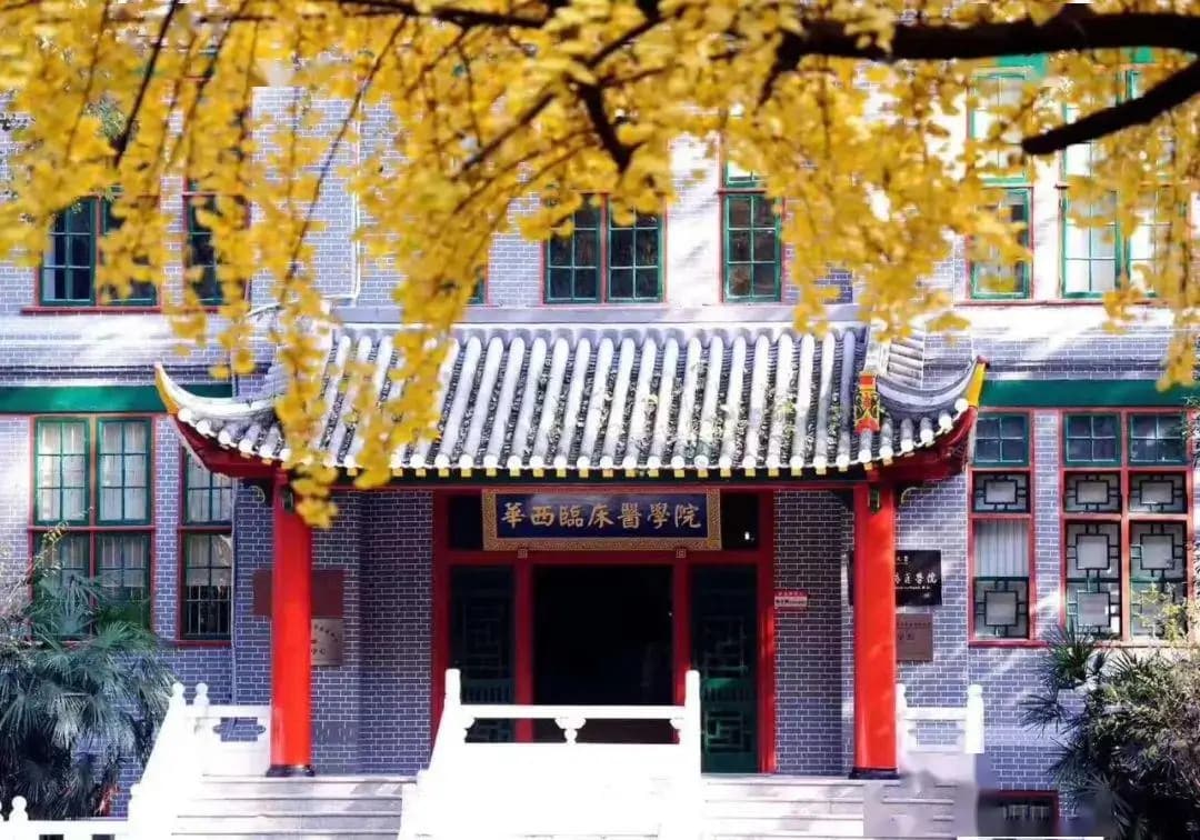 四川大学华西医院 图库图像 2